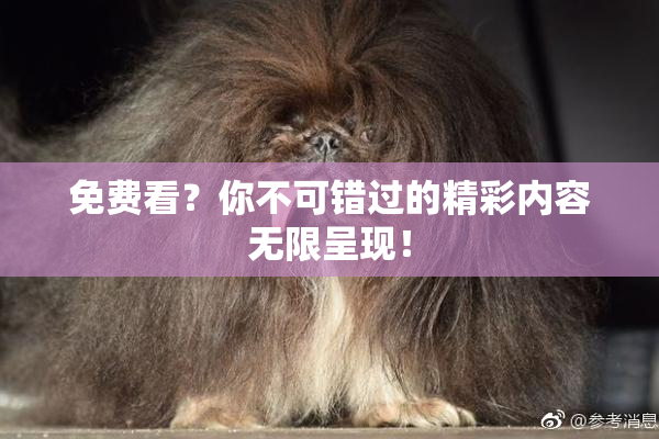 免费看？你不可错过的精彩内容无限呈现！