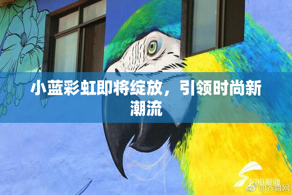 小蓝彩虹即将绽放，引领时尚新潮流