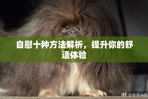 自慰十种方法解析，提升你的舒适体验