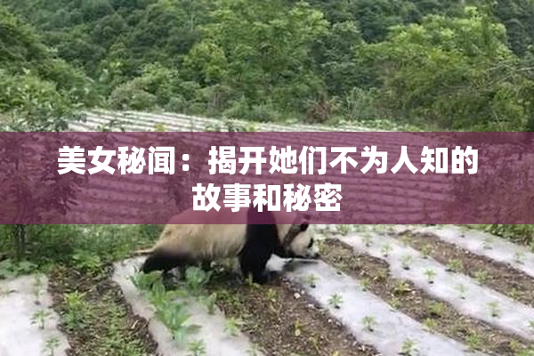 美女秘闻：揭开她们不为人知的故事和秘密