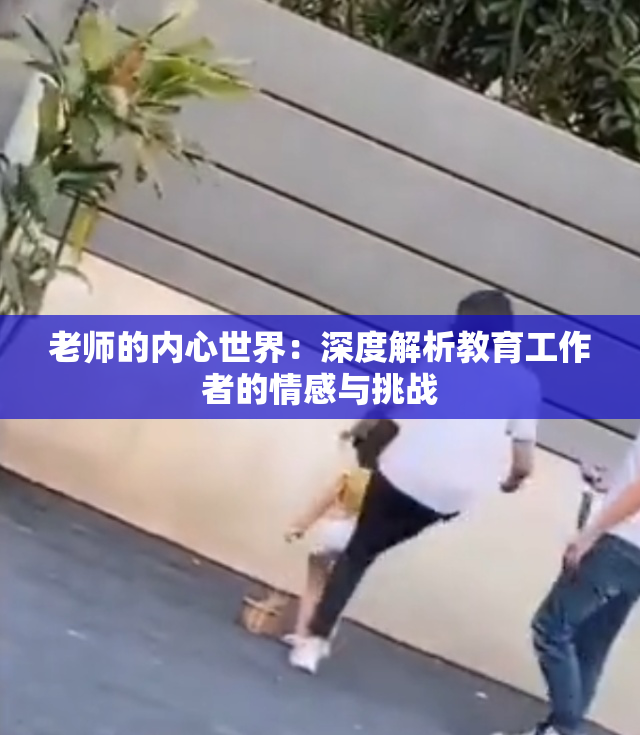 老师的内心世界：深度解析教育工作者的情感与挑战