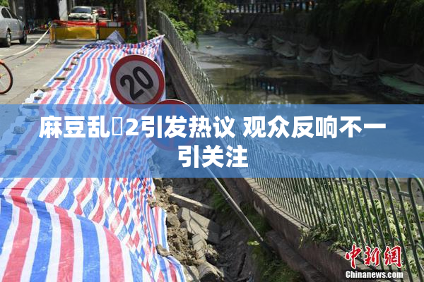 麻豆乱婬2引发热议 观众反响不一引关注