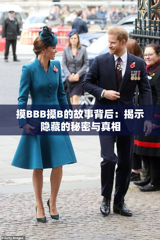 摸BBB搡B的故事背后：揭示隐藏的秘密与真相