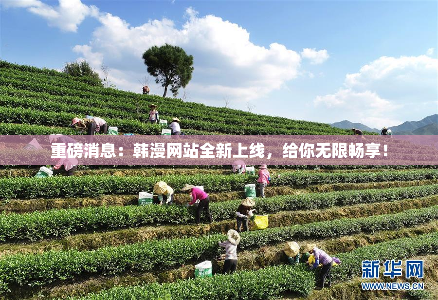 重磅消息：韩漫网站全新上线，给你无限畅享！