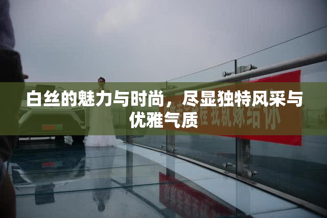 白丝的魅力与时尚，尽显独特风采与优雅气质