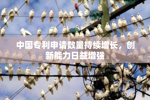 中国专利申请数量持续增长，创新能力日益增强