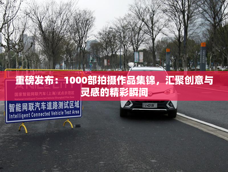 重磅发布：1000部拍摄作品集锦，汇聚创意与灵感的精彩瞬间
