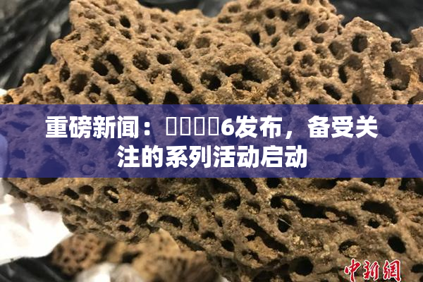 重磅新闻：❌‌❌‌6发布，备受关注的系列活动启动
