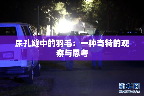 尿孔缝中的羽毛：一种奇特的观察与思考