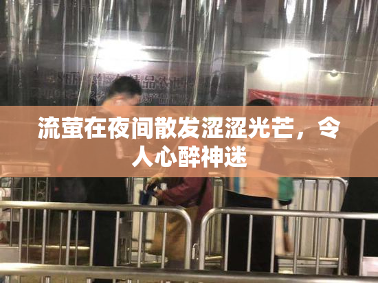 流萤在夜间散发涩涩光芒，令人心醉神迷