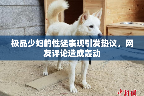 极品少妇的性猛表现引发热议，网友评论造成轰动