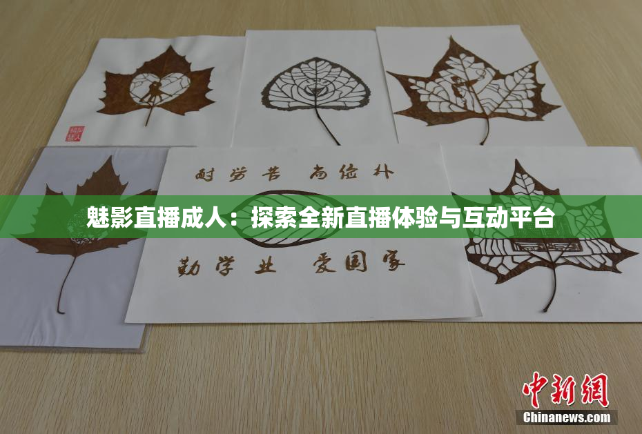 魅影直播成人：探索全新直播体验与互动平台