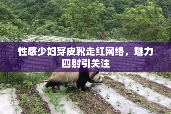 性感少妇穿皮靴走红网络，魅力四射引关注
