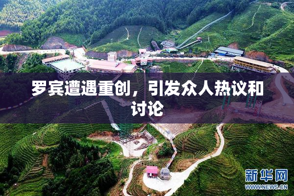 罗宾遭遇重创，引发众人热议和讨论