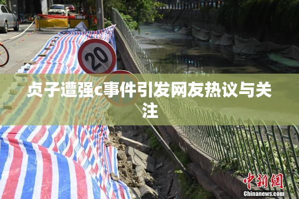 贞子遭强c事件引发网友热议与关注