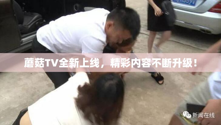 蘑菇TV全新上线，精彩内容不断升级！