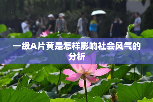 一级A片黄是怎样影响社会风气的分析