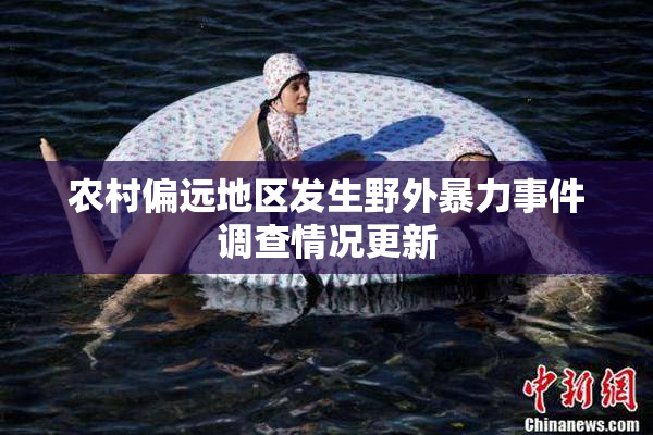 农村偏远地区发生野外暴力事件调查情况更新