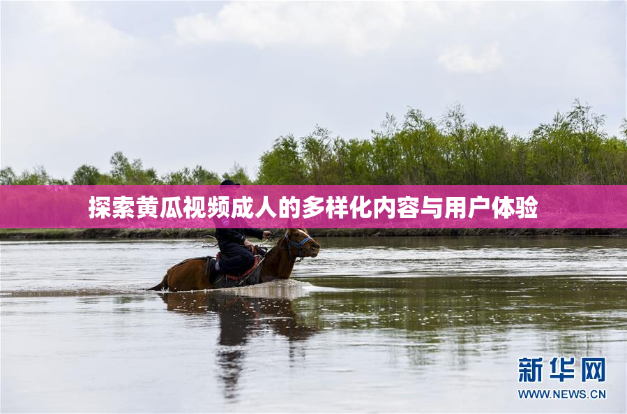 探索黄瓜视频成人的多样化内容与用户体验