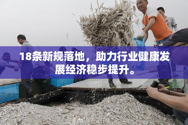 18条新规落地，助力行业健康发展经济稳步提升。