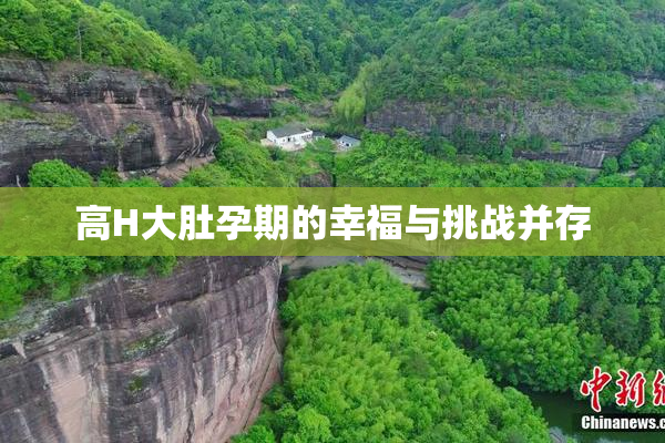 高H大肚孕期的幸福与挑战并存