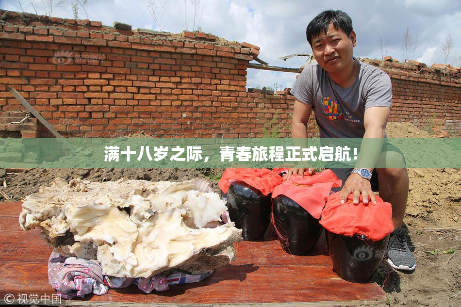 满十八岁之际，青春旅程正式启航！