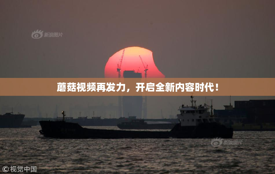 蘑菇视频再发力，开启全新内容时代！