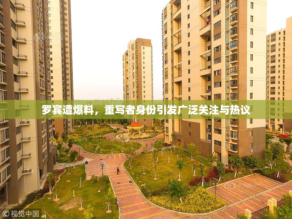 罗宾遭爆料，重写者身份引发广泛关注与热议