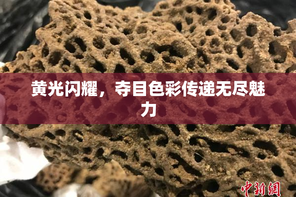 黄光闪耀，夺目色彩传递无尽魅力