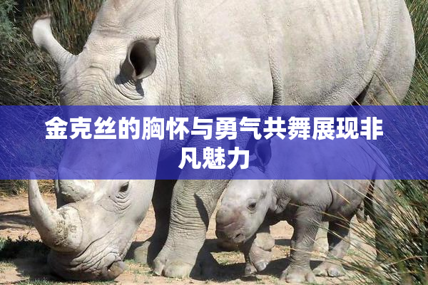 金克丝的胸怀与勇气共舞展现非凡魅力