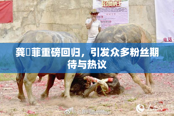 龚玥菲重磅回归，引发众多粉丝期待与热议
