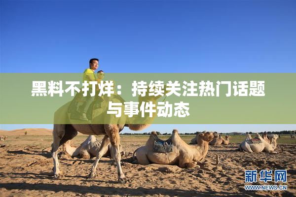 黑料不打烊：持续关注热门话题与事件动态