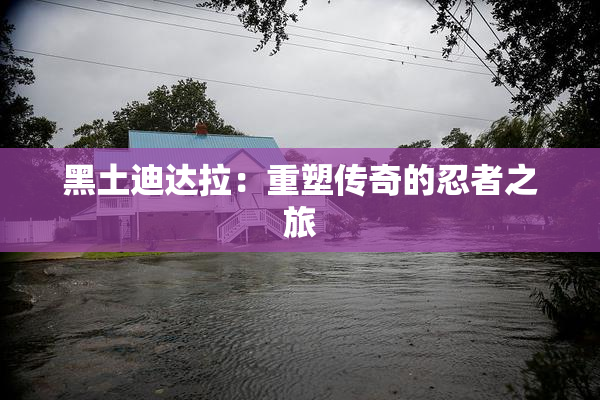 黑土迪达拉：重塑传奇的忍者之旅