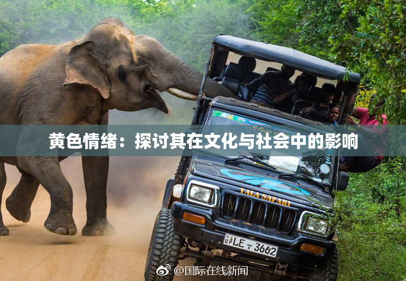 黄色情绪：探讨其在文化与社会中的影响