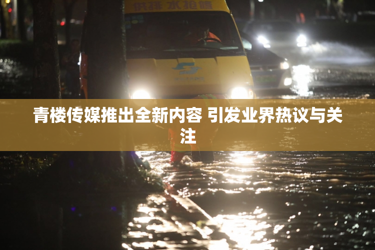 青楼传媒推出全新内容 引发业界热议与关注