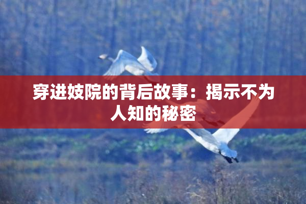 穿进妓院的背后故事：揭示不为人知的秘密