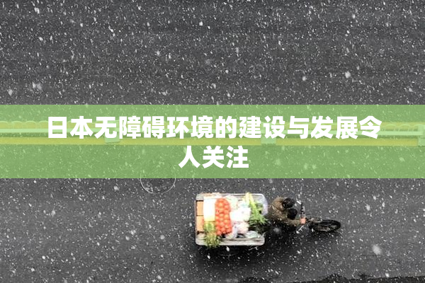 日本无障碍环境的建设与发展令人关注