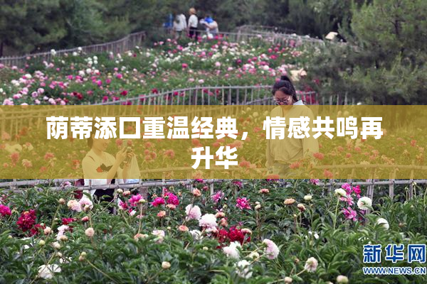 荫蒂添囗重温经典，情感共鸣再升华
