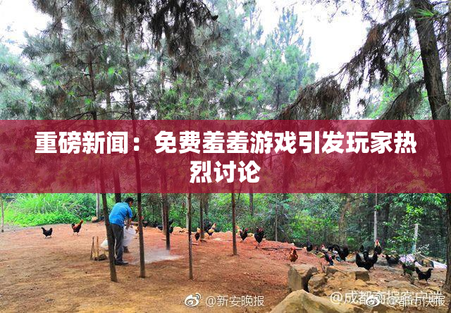 重磅新闻：免费羞羞游戏引发玩家热烈讨论