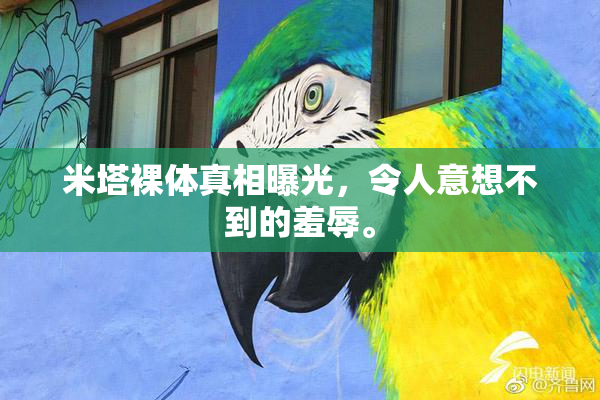 米塔裸体真相曝光，令人意想不到的羞辱。