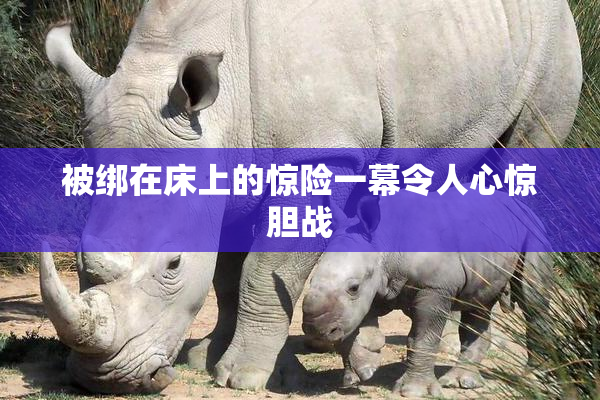 被绑在床上的惊险一幕令人心惊胆战