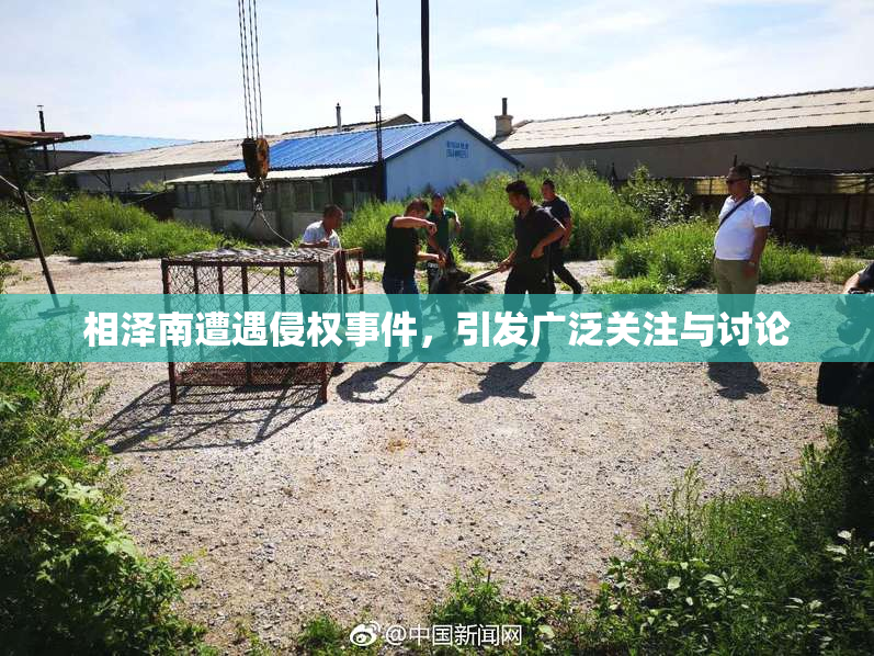 相泽南遭遇侵权事件，引发广泛关注与讨论