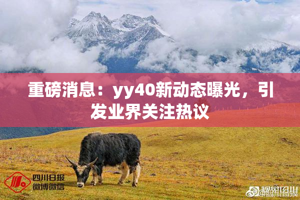 重磅消息：yy40新动态曝光，引发业界关注热议
