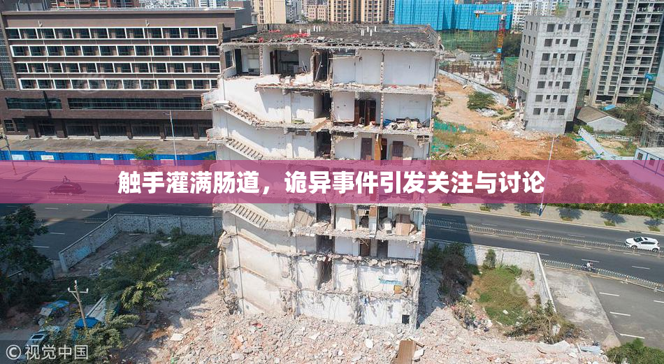 触手灌满肠道，诡异事件引发关注与讨论