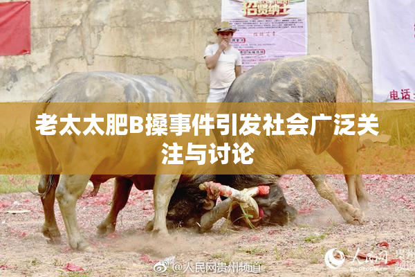 老太太肥B搡事件引发社会广泛关注与讨论