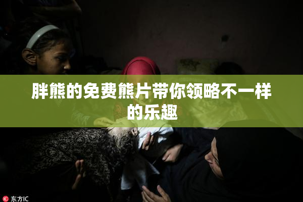 胖熊的免费熊片带你领略不一样的乐趣