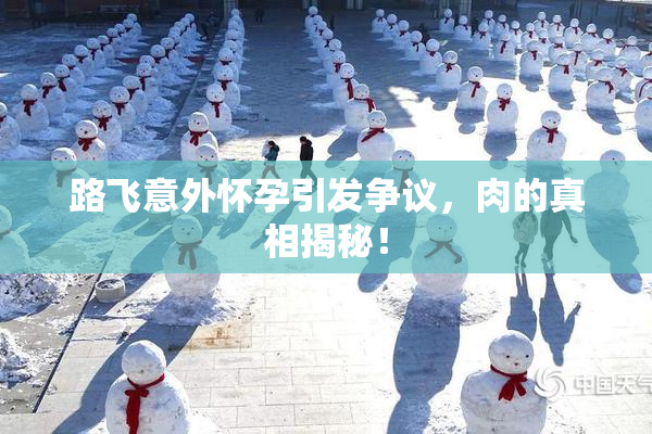 路飞意外怀孕引发争议，肉的真相揭秘！