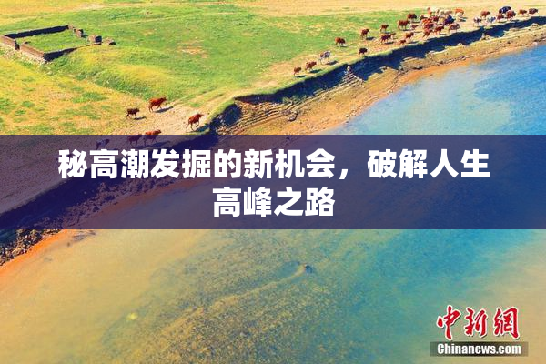 秘高潮发掘的新机会，破解人生高峰之路