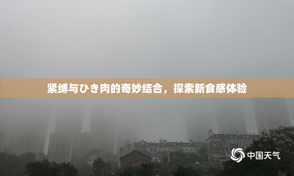 紧缚与ひき肉的奇妙结合，探索新食感体验