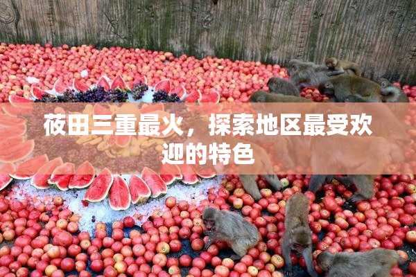 莜田三重最火，探索地区最受欢迎的特色